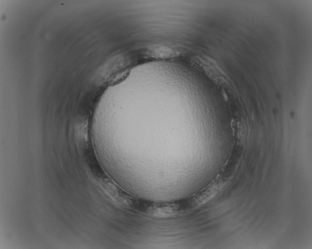 X0000067870368200604271742