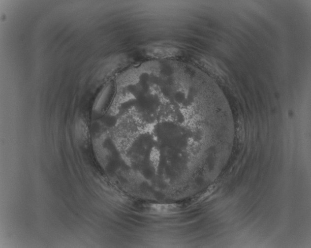 X0000067870371200604271742