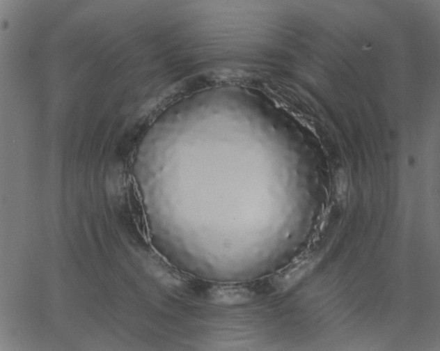 X0000067870372200604271742