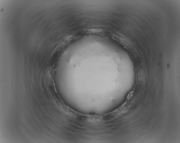 X0000067870373200604271742