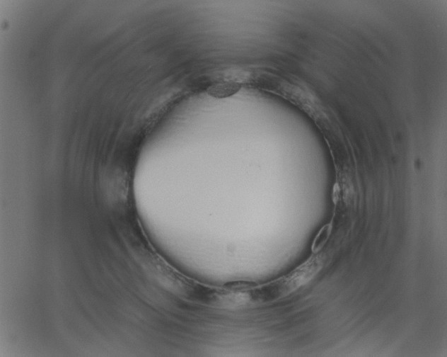 X0000067870374200604271742