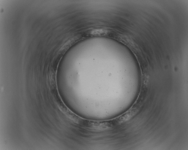 X0000067870375200604271742