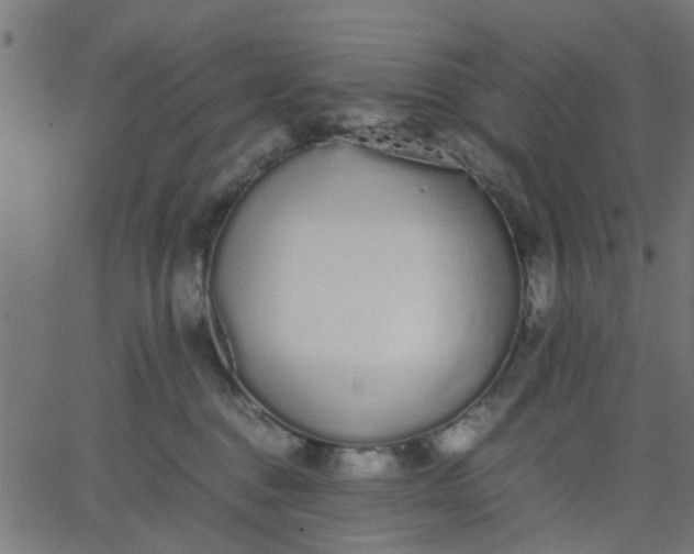 X0000067870376200604271742