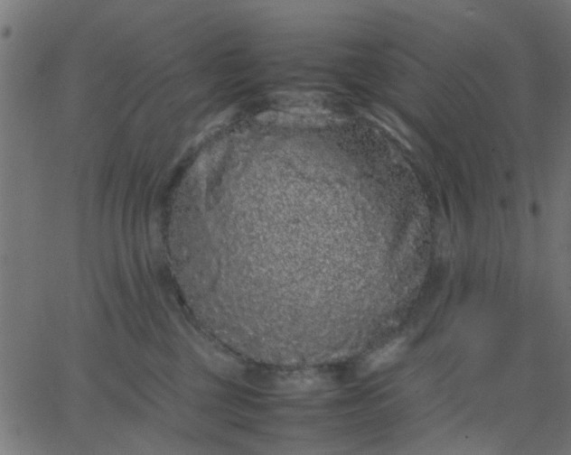 X0000067870377200604271742