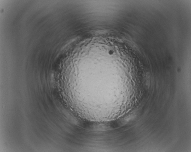 X0000067870378200604271742