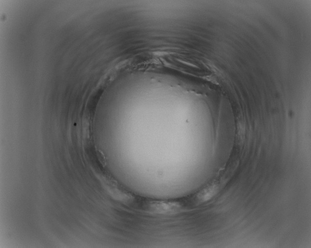 X0000067870379200604271742