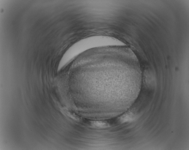 X0000067870380200604271742