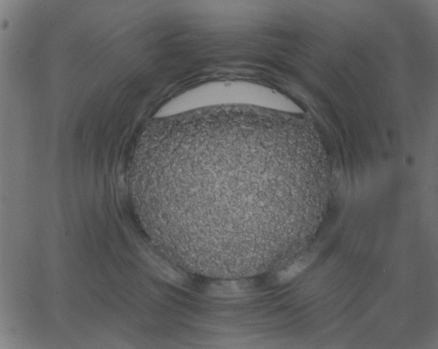 X0000067870381200604271742