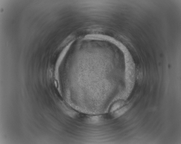 X0000067870382200604271742