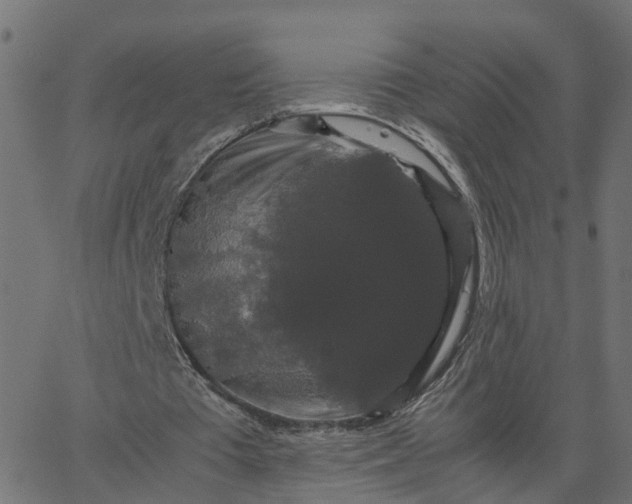 X0000067870385200604271741