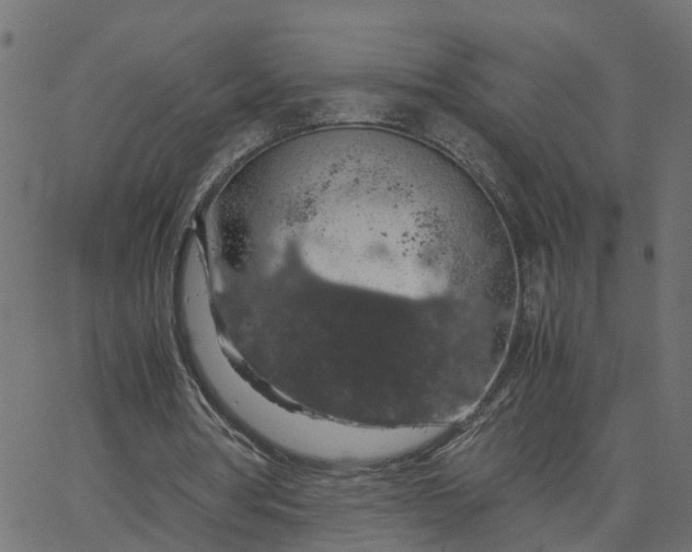 X0000067870386200604271741