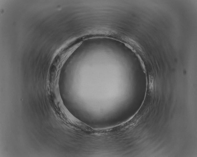 X0000067870388200604271741