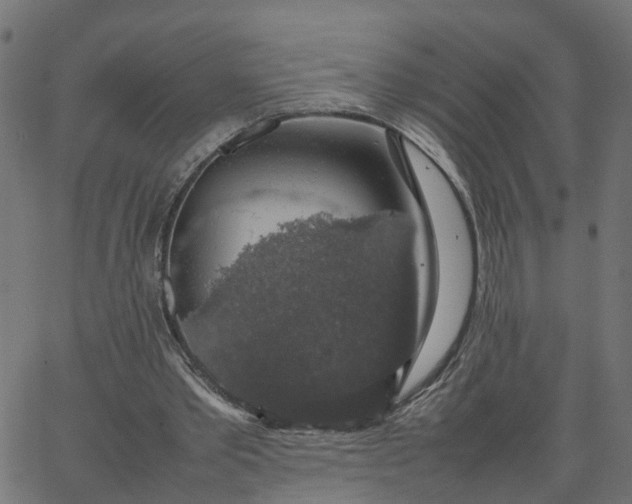 X0000067870389200604271741