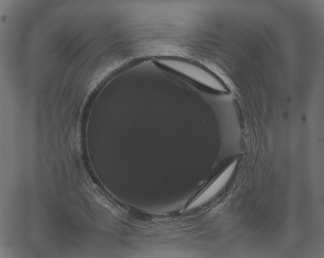 X0000067870391200604271741