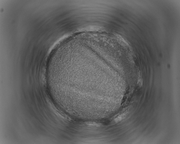 X0000067870392200604271741