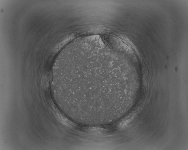 X0000067870393200604271741