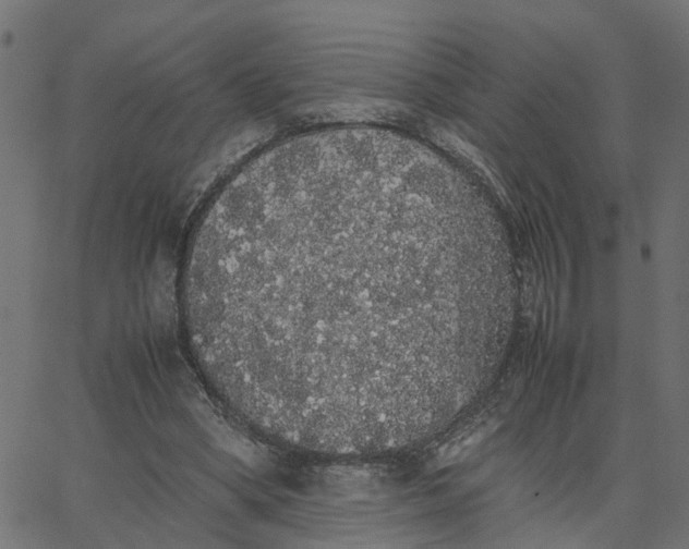 X0000067870394200604271741