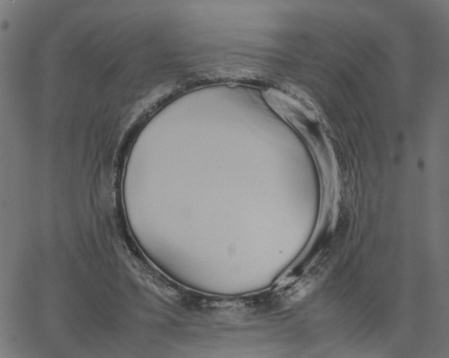 X0000067870395200604271741