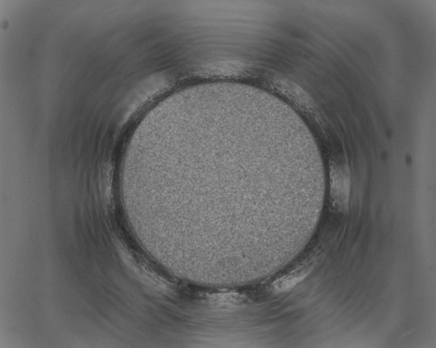 X0000067870396200604271741