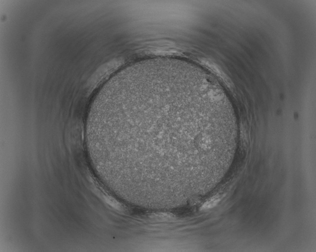 X0000067870397200604271741