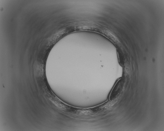 X0000067870401200604271741