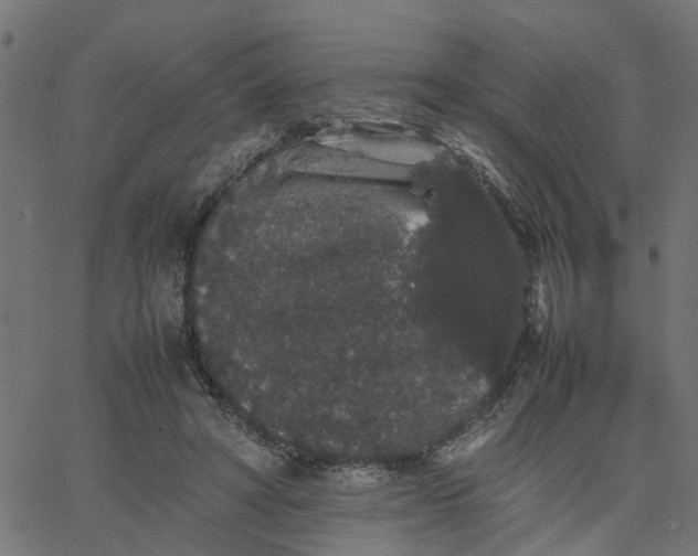 X0000067870402200604271741