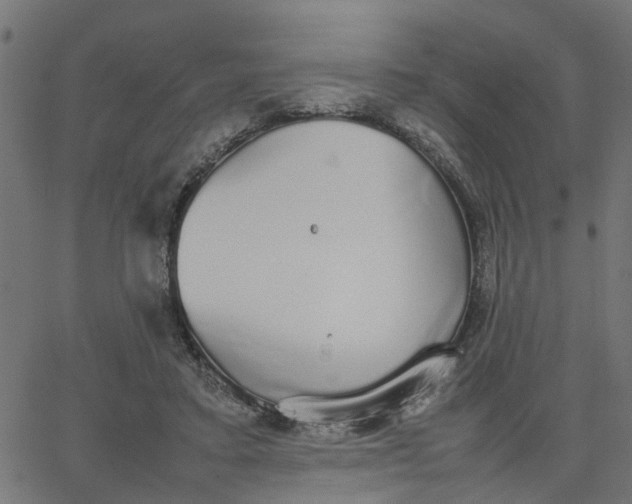 X0000067870403200604271741