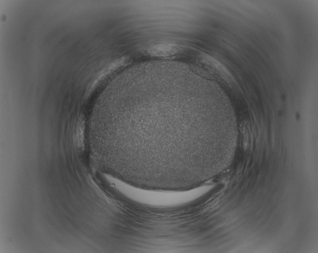 X0000067870404200604271741