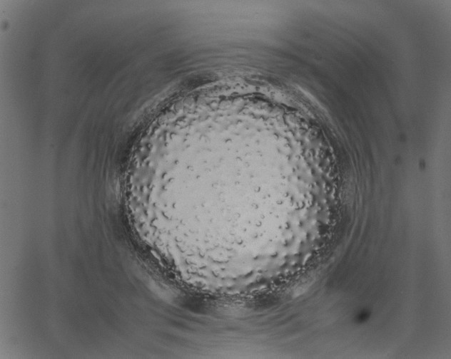 X0000067870405200604271741