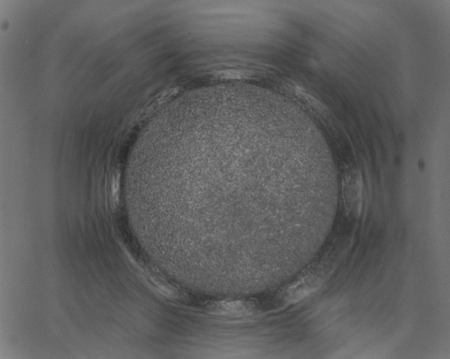 X0000067870406200604271741