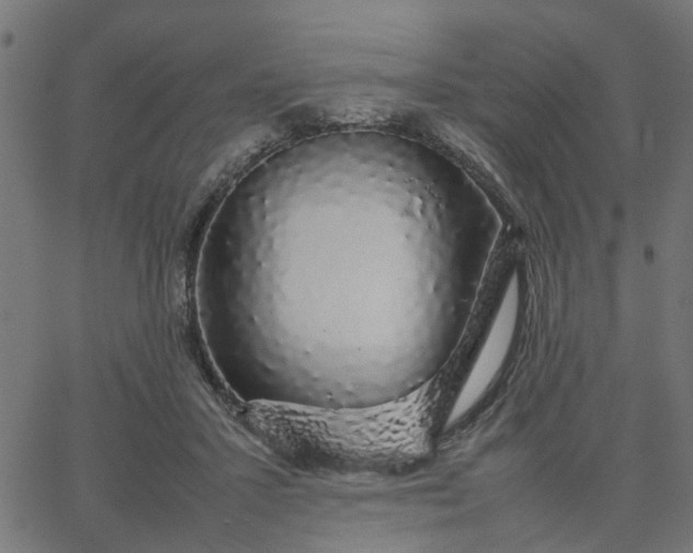 X0000067870407200604271741