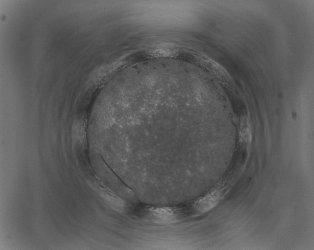 X0000067870409200604271741