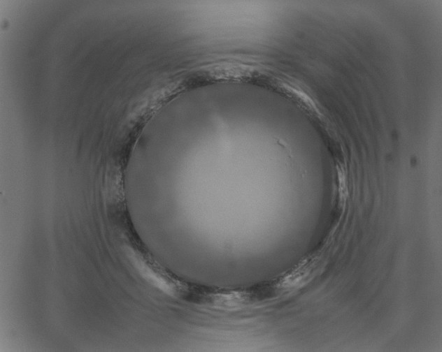 X0000067870411200604271741