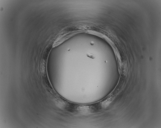 X0000067870413200604271741