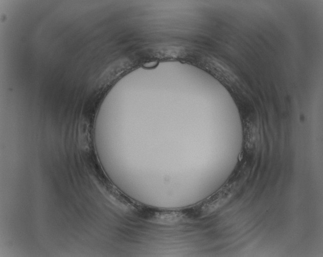 X0000067870414200604271741