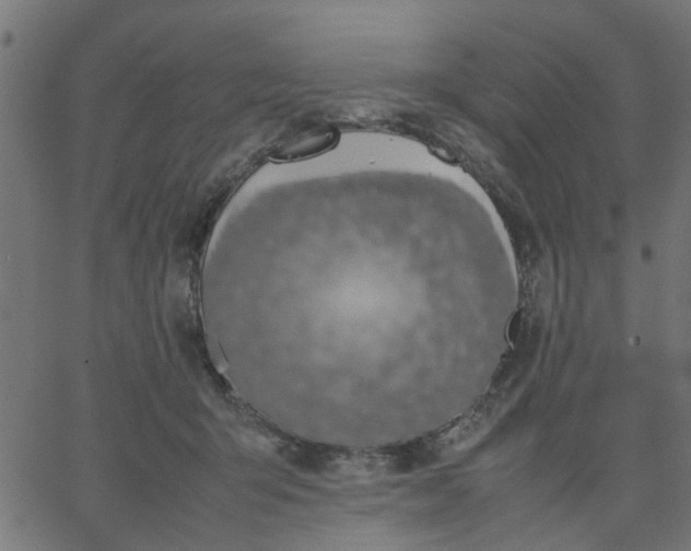 X0000067870415200604271741