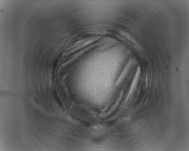 X0000067870416200604271741