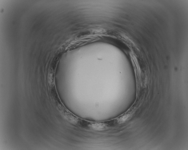 X0000067870417200604271741