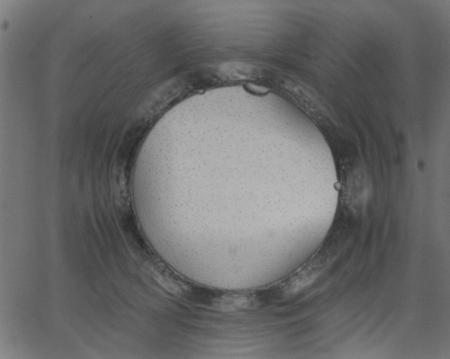 X0000067870418200604271741