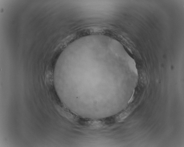 X0000067870419200604271741