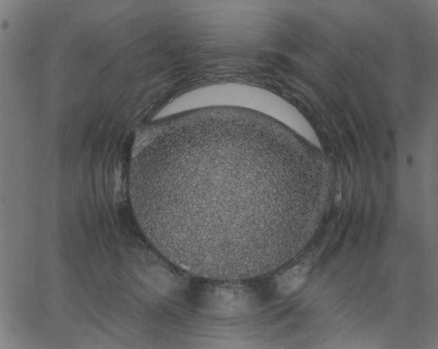 X0000067870420200604271740