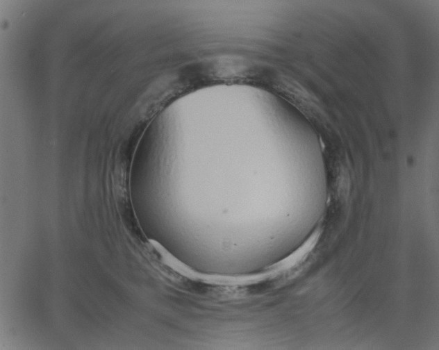 X0000067870421200604271740