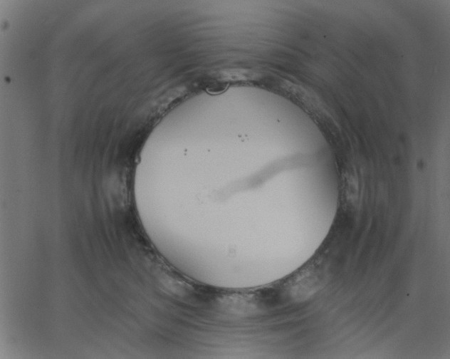 X0000067870422200604271740