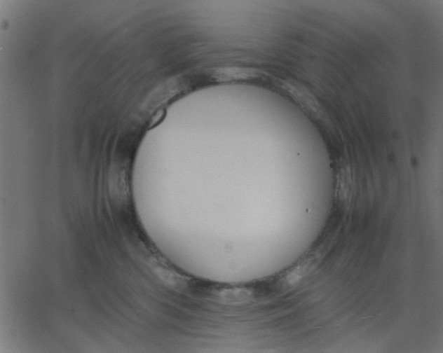 X0000067870426200604271740