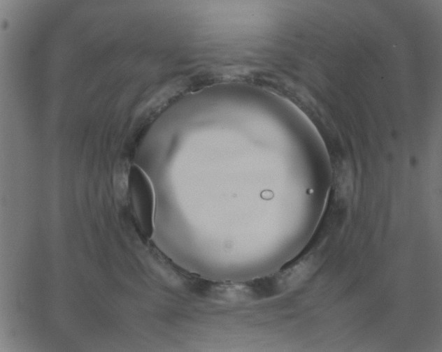 X0000067870427200604271740