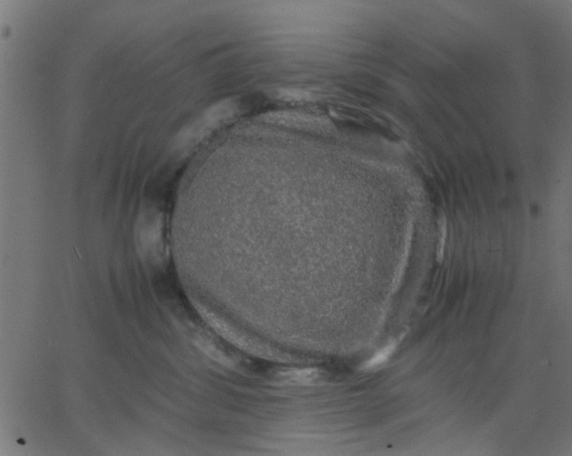 X0000067870428200604271740