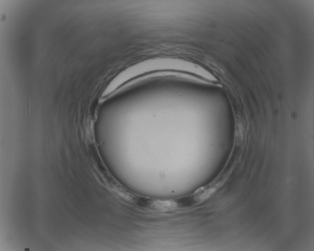 X0000067870429200604271740