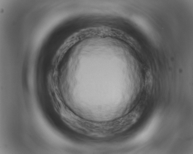 X0000067870431200604271740