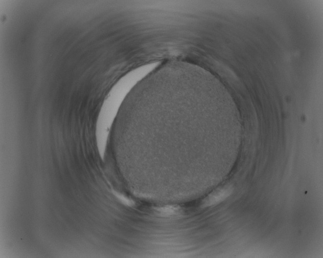 X0000067870432200604271740