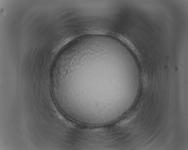 X0000067870433200604271739